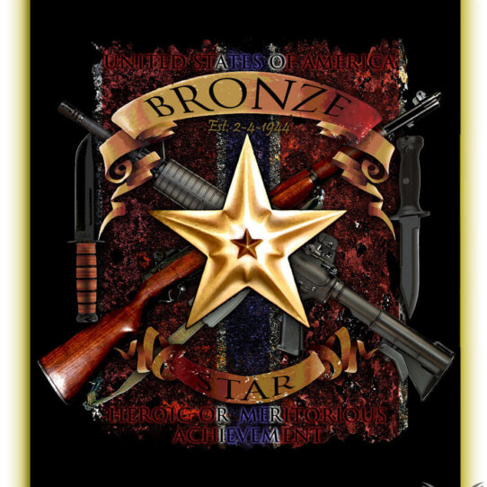 Bronze Star US Navy Sign in Vintage