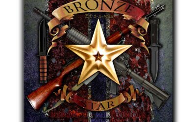 3 Badass Navy Vets Who Received the Bronze Star
