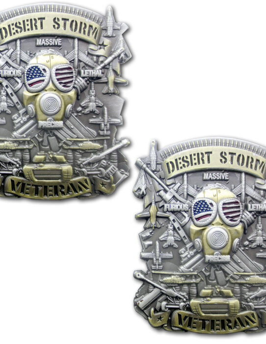 DesertStorm-Veteran-Coin