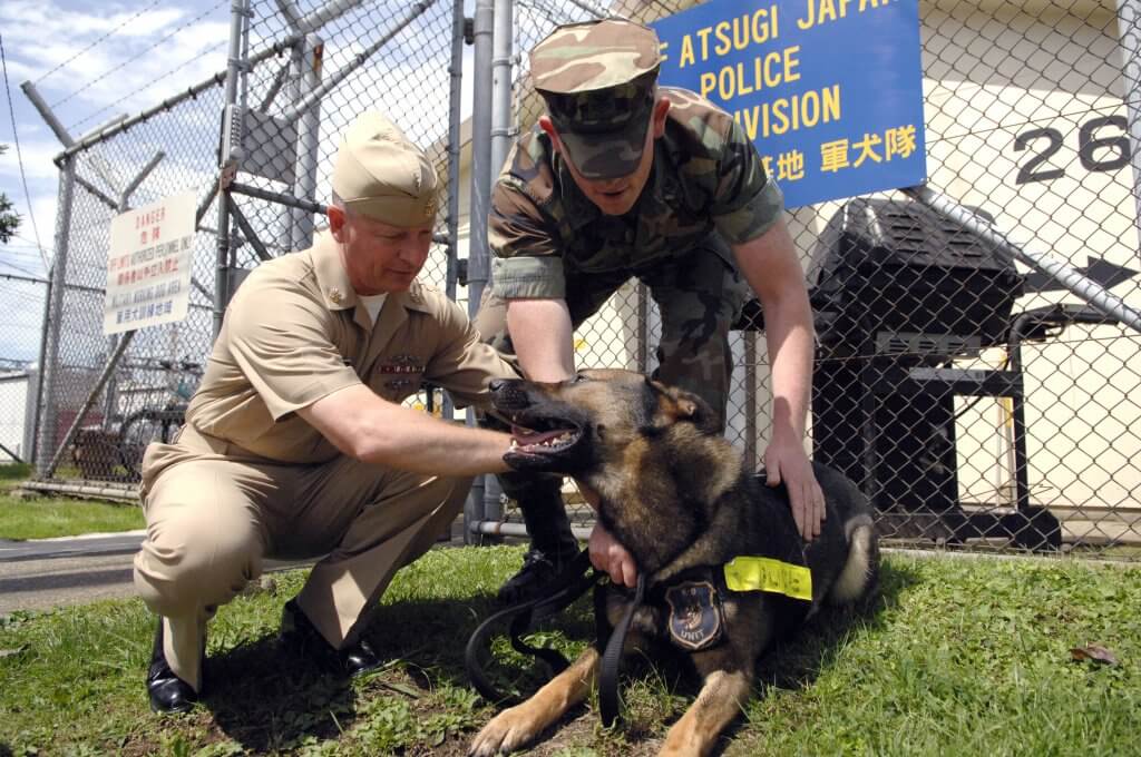 K9 Veteran Kennel at Naval Air Facility