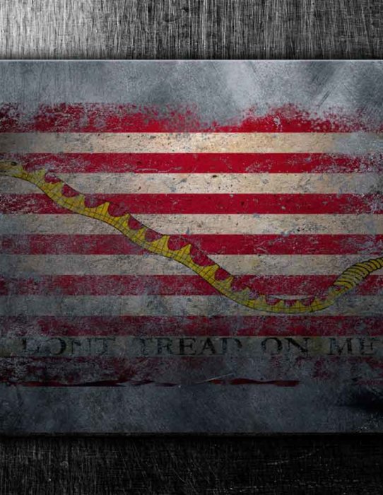 Don't Tread On Me US Navy Flag Military Sign