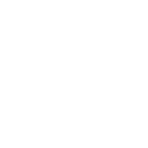 Navy Crow-logo-White