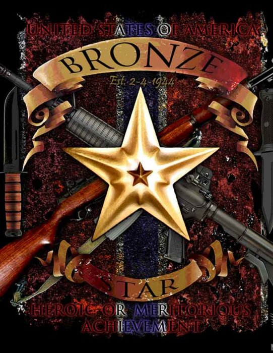 Bronze Star US Navy Sticker
