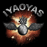 IYAOYAS Pocket Upper Sleeve Art Navy Crow Graphics Options for Upper Sleeves
