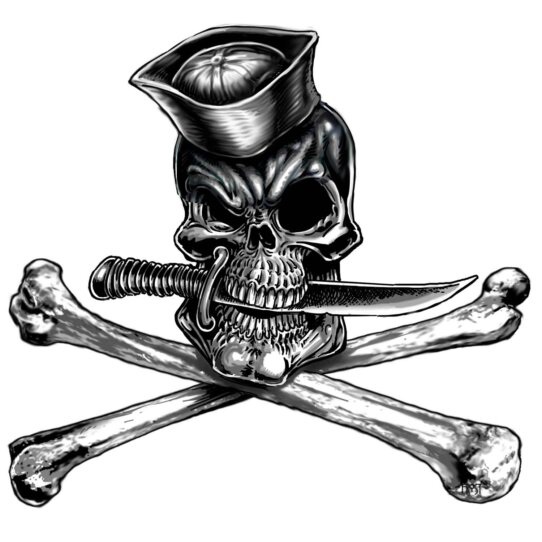 Navy-Jolly-Roger-Decal