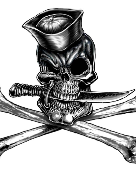 Navy-Jolly-Roger-Decal