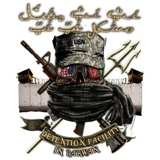 DFIP POSHTU Navy Veteran 3-18 Inch Custom Decal Sticker