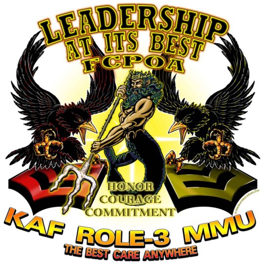 KAF Role 3 MMU Task Force Medical South FCPOA Best Care Anywhere Navy Veteran Decal Sticker